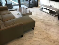 Viva (D11), Condominium #588108171